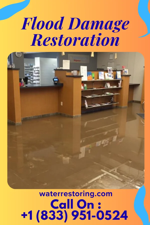 Flood Damage Restoration in Elk Rapids, MI