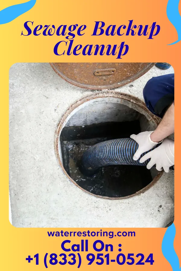 Sewage Backup Cleanup in Elk Rapids, MI