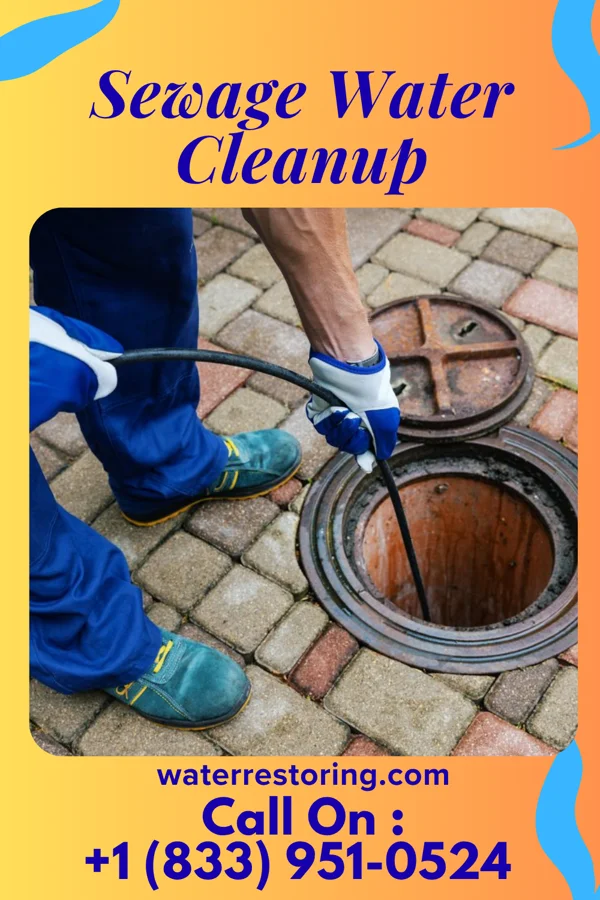 Sewage Water Cleanup in Elk Rapids, MI