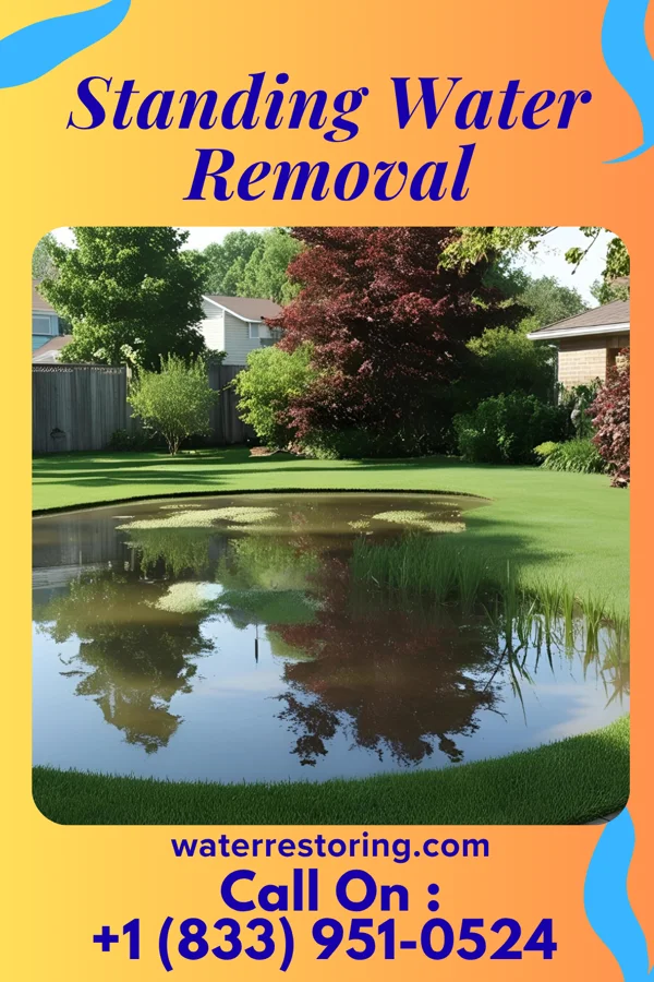 Standing Water Removal in Elk Rapids, MI